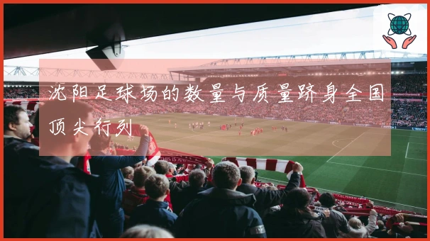 沈阳足球场的数量与质量跻身全国顶尖行列