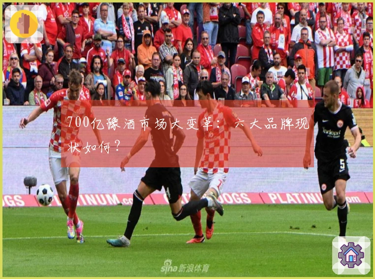 700亿豫酒市场大变革：六大品牌现状如何？